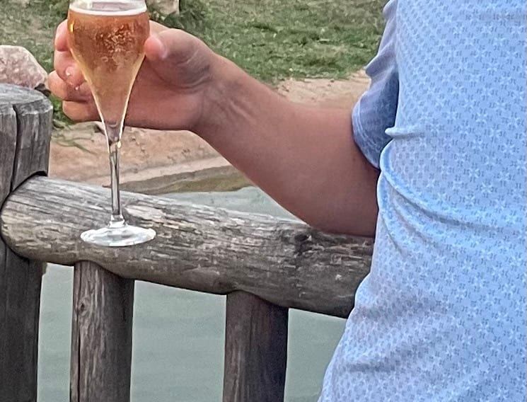 Profil de Sauveur